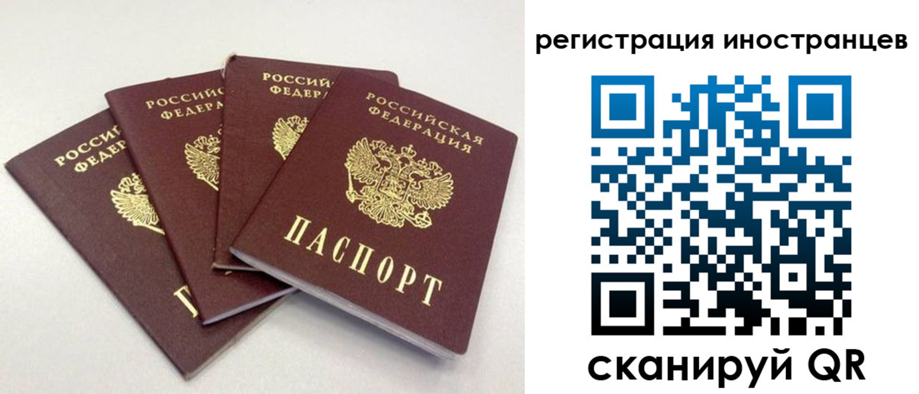 временная регистрация для школы в Семилуках